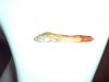 DSC00016.JPG