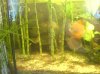 DSC00169.JPG