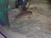 DSCN09281.jpg