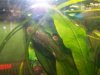 100_0086.jpg