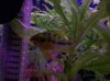 100_0056.JPG