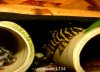 210506-1.jpg