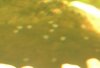DSCN1412.jpg