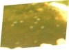 DSCN1412.jpg