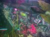 200606032111_00064.jpg