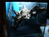 DSC01524.JPG