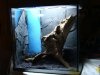 DSC01516.JPG