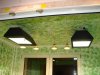 dsc01204_141.jpg