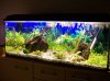 100_0084.JPG