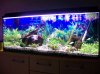 100_0083.JPG