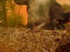 DSC03865.JPG