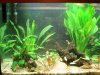 Aquarium%20002.jpg
