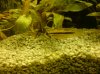 DSC00325.JPG