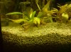 DSC00322.JPG