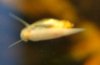 Schnecke2_Bild1.jpg