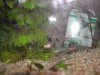 DSCN4450.JPG
