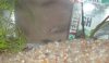 DSCN4448.JPG