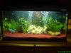 12563 (2)talk.JPG