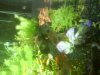 DSC00518.JPG