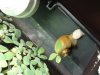 DSC08757.JPG