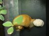 DSC08758.JPG