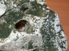 100_1252.jpg
