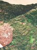 100_1251.jpg