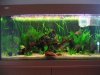 250l-Becken 067.jpg