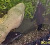 100_1240.JPG