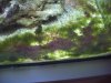 Image00001.jpg