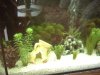 Mamas_Aquarium.JPG