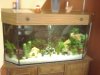 Mamas_Aquarium (4).JPG