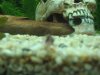 IMG_5910_3_1.JPG