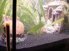 DSC00959.JPG
