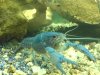 DSC00147.JPG