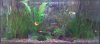 aquarium_kreis_1.JPG