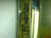 DSC00075.jpg