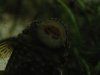 IMG_5835_resize.JPG