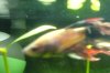 DSC01464.JPG