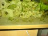 DSC01143.JPG