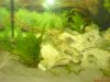 DSC01142.JPG