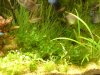 DSC00414.JPG