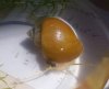 Schnecke4 31.8.JPG