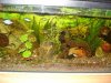Aquarium_001_600x450.jpg