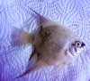 DSC00055x.jpg