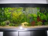 Aquarium_Revier.JPG