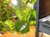 k-DSC00356.JPG