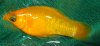 08-09-22 Bild 005.JPG