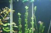 DSC01720.jpg