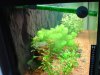 DSC04107.JPG